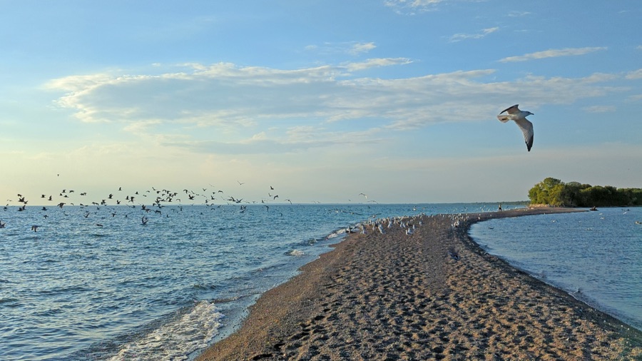 In a region surrounded by the largest freshwater reserves in the world, Point Pelee provides a unique vantage point of Lake Erie.